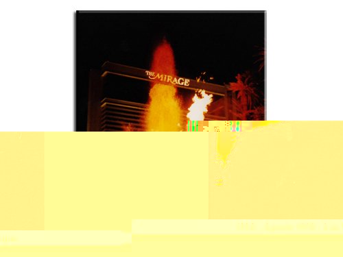 Foto8.jpg