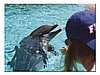 Foto 13.jpg